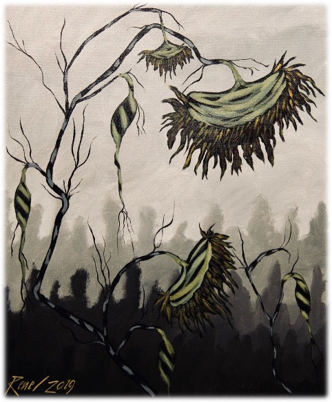 In the Shadow of Men