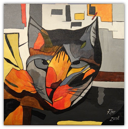 Kool Kat Looking For a Kitty